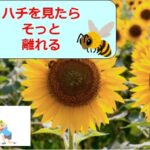ハチを見たら離れる