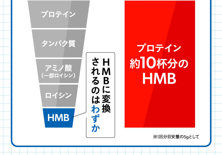 プロテイン１０杯のＨＭＢ